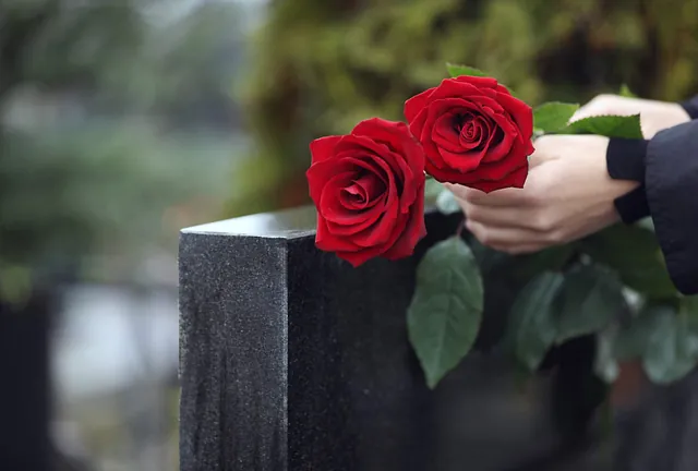 rosas sobre tumba